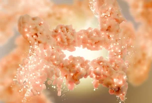fat burning human tissue cells