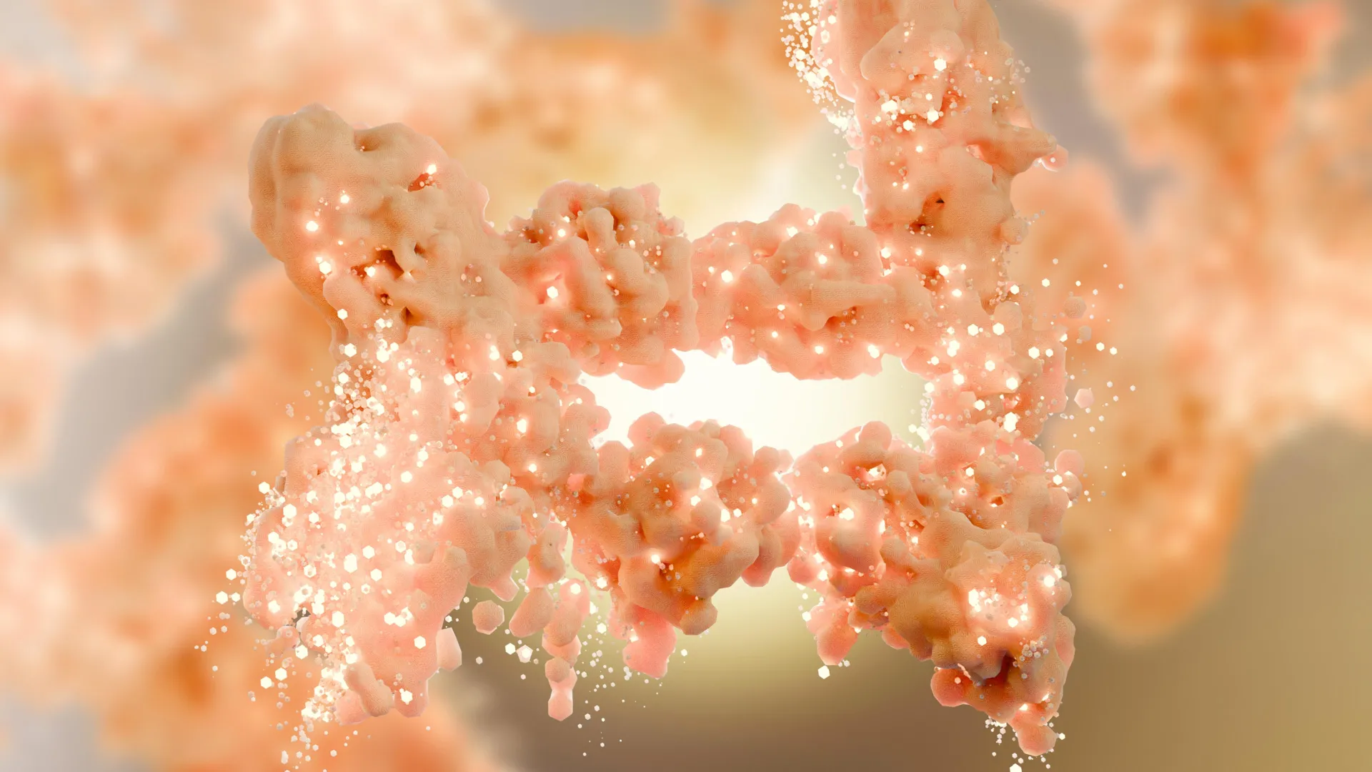 fat burning human tissue cells
